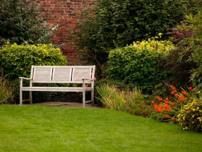 A shot of a white bench in a park